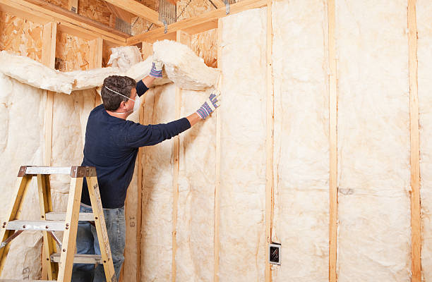 Best Basement Insulation in Moundsville, WV